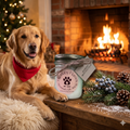 Merry Mistletoe | 6 oz. (170 g) Soy Candle