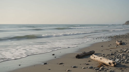 Driftwood and Sea Salt 8 ounce candle
