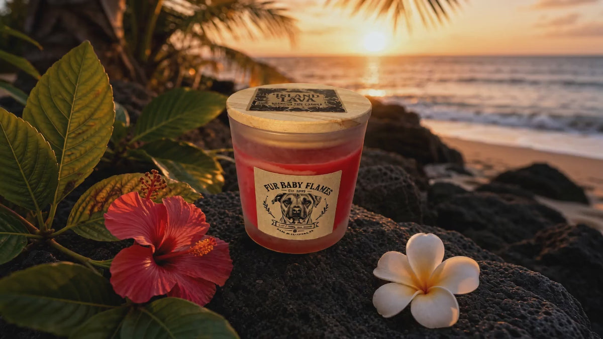 Island Lava Handcrafted Soy Candle | 7 oz (200g) or 8 oz (227g)