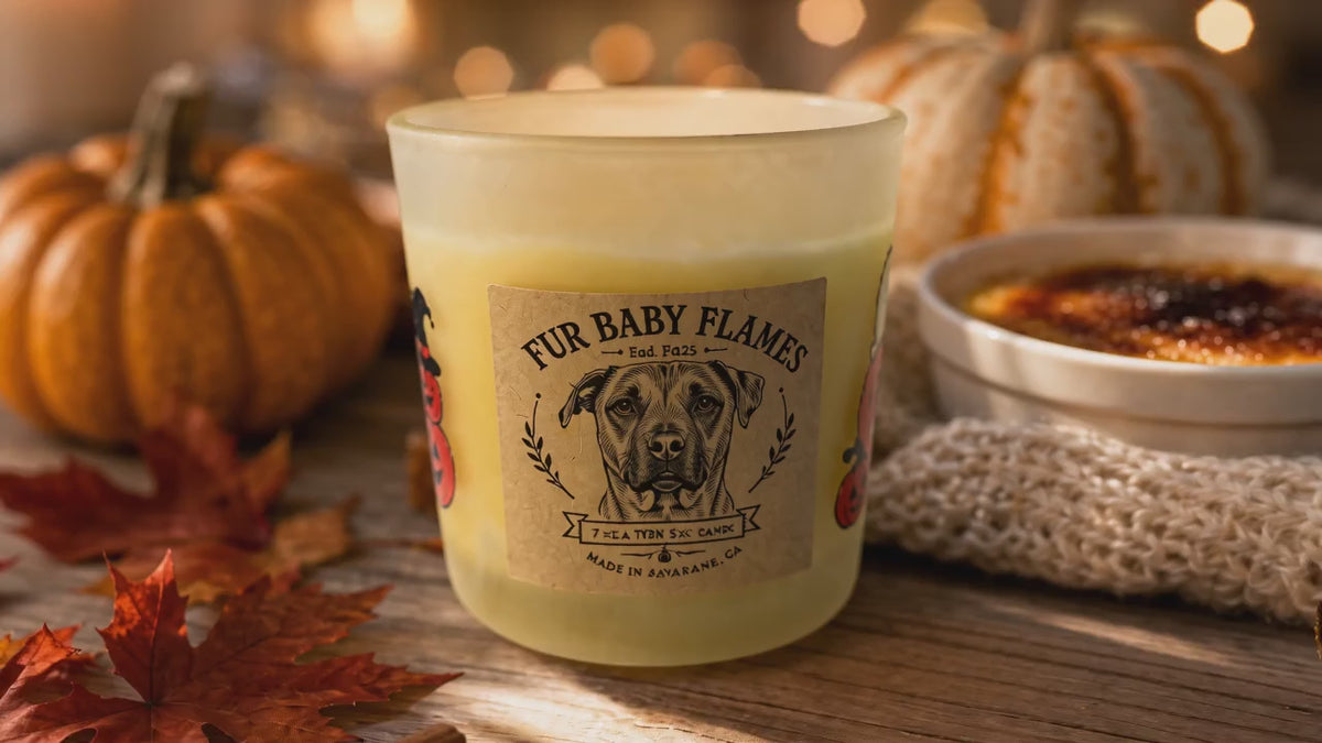 Pumpkin Crème Brûlée Soy Candle | 7 oz (200g) or 8 oz (227g)